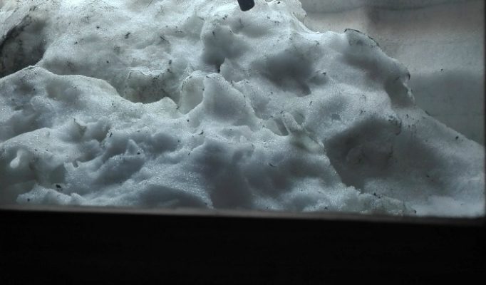 Widok z damskiej toalety w schronisku