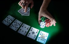 total_gambler_10513_15