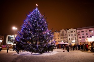image_newsletter3