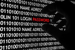 hacker