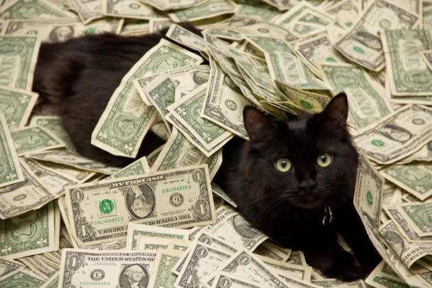 Czy masz w sobie cechy pokerowego mistrza?
