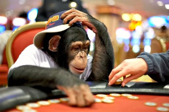 Nieokiełznany tilt Nieokiełznany tilt