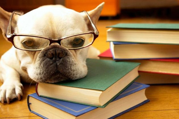 Poker jest… [część druga] poker mobilizuje do nauki