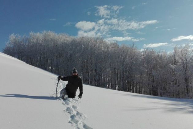 [BLOG] #22 – Rzućmy wszystko i jedźmy w Bieszczady – część pierwsza