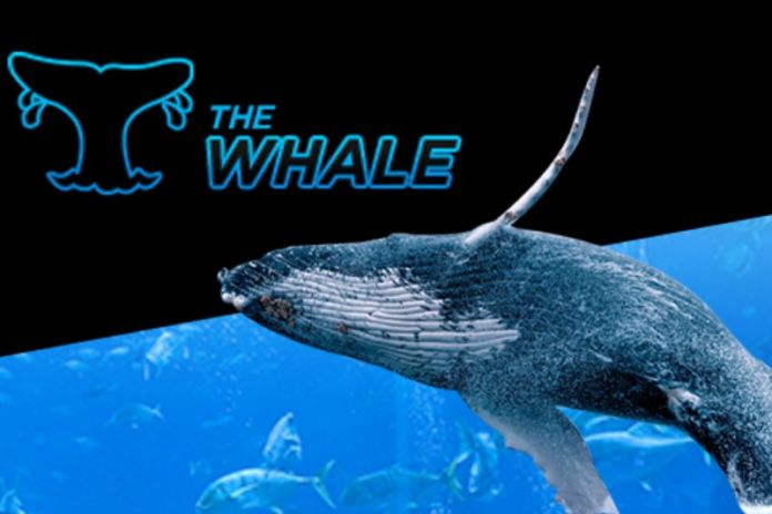 Super Whale Super Whale