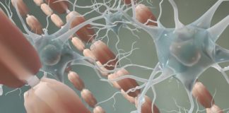 Gra w pokera zbawienna dla mózgu