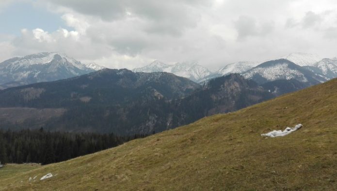W drodze z Rusinowej Polany na Gęsią Szyję