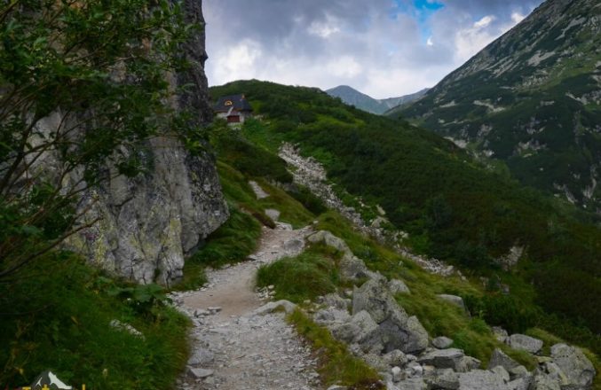 Foto: natatry.pl – Szlak latem