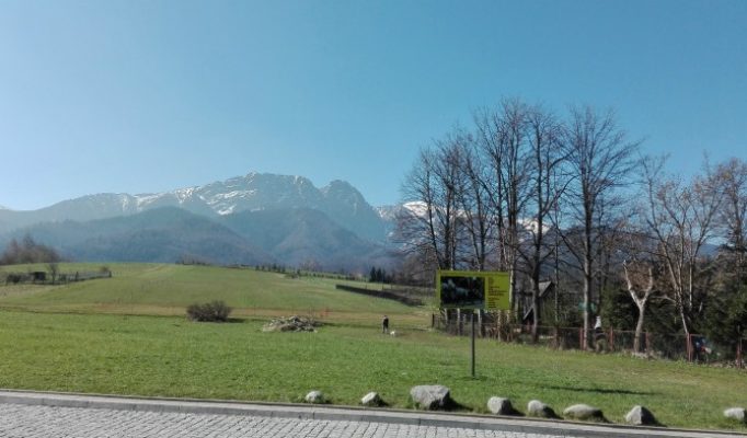 Rycerz śpi i obudzi się dopiero, jak nieprzyjaciel znajdzie się w granicach Polski. Niech śpi jak najdłużej