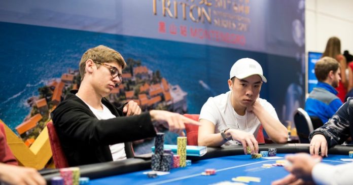Fedor Holz - Triton Super High Roller