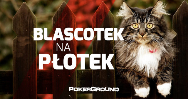 Blascotek na płotek – 001