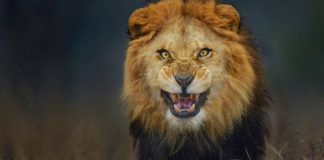 Jak grać przeciwko bardzo agresywnym rywalom? 3/3