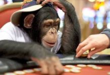 12 ważnych rad dla początkujących pokerzystów – Część 1/2