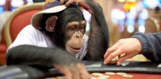 12 ważnych rad dla początkujących pokerzystów – Część 1/2