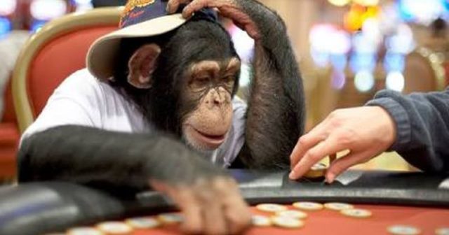12 ważnych rad dla początkujących pokerzystów – Część 1/2