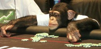 12 ważnych rad dla początkujących pokerzystów – Część 2/2