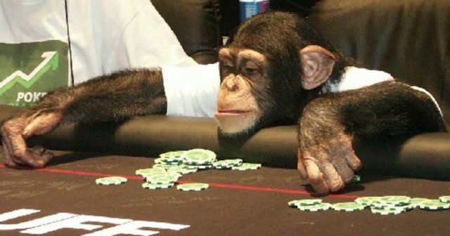12 ważnych rad dla początkujących pokerzystów – Część 2/2