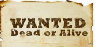 Andrew Brokos o strategii gry w turniejach bounty