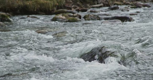 Jak się nie utopić na riverze?