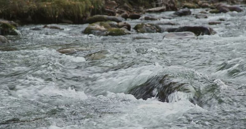 Jak się nie utopić na riverze?