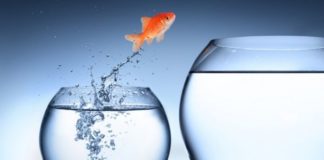 W roku 2018 podwajamy nasz winrate – część 2