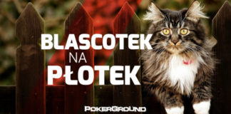 Blascotek na płotek – reaktywacja