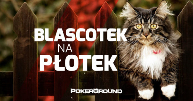 Blascotek na płotek – reaktywacja