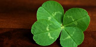 Myślisz, że masz wyjątkowo dużego pecha w pokerze? To błędne przekonanie poker