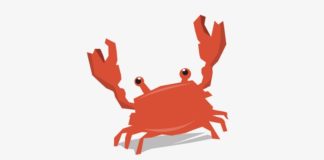 Dlaczego pokerzysta musi być jak krab? poker