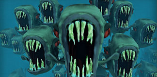 Strefa wyłącznie dla drapieżników