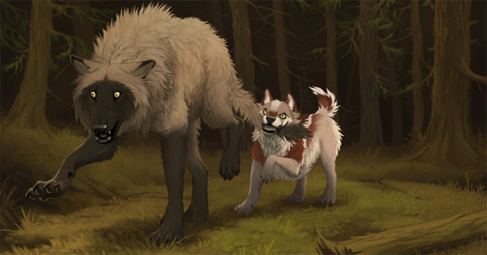 dddm57w-ad2618a5-9268-41e6-911a-dad1f6abfbac